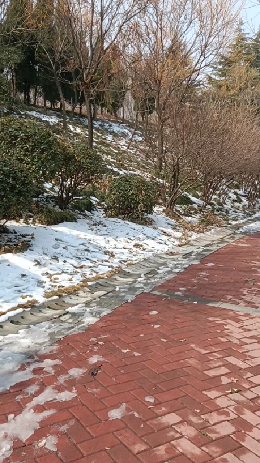 踏着春雪,沿着幽深的小山道来到了美丽的天鹅湖,美丽的郑州春光无限美景如画如此美丽