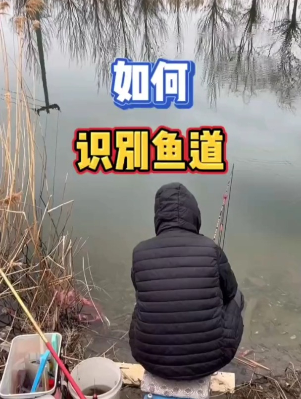 鱼道是什么?如何正确识别鱼道?老钓友这样说!