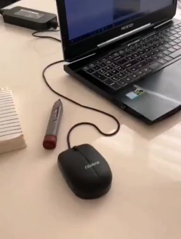 记忆面包的梦想总有一天会实现