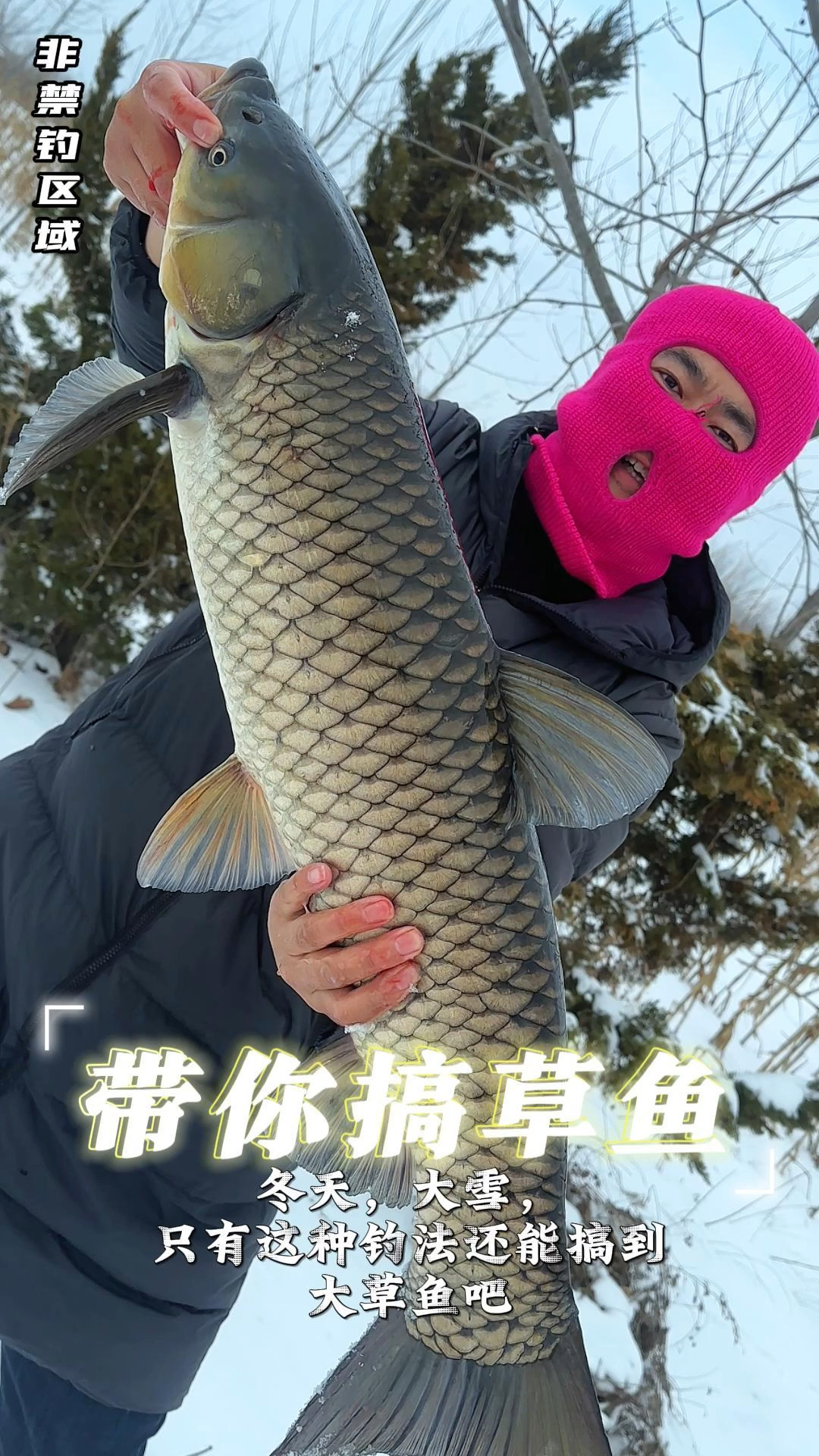 你们冬天是怎么钓草鱼的?#钓鱼人的快乐#户外钓鱼