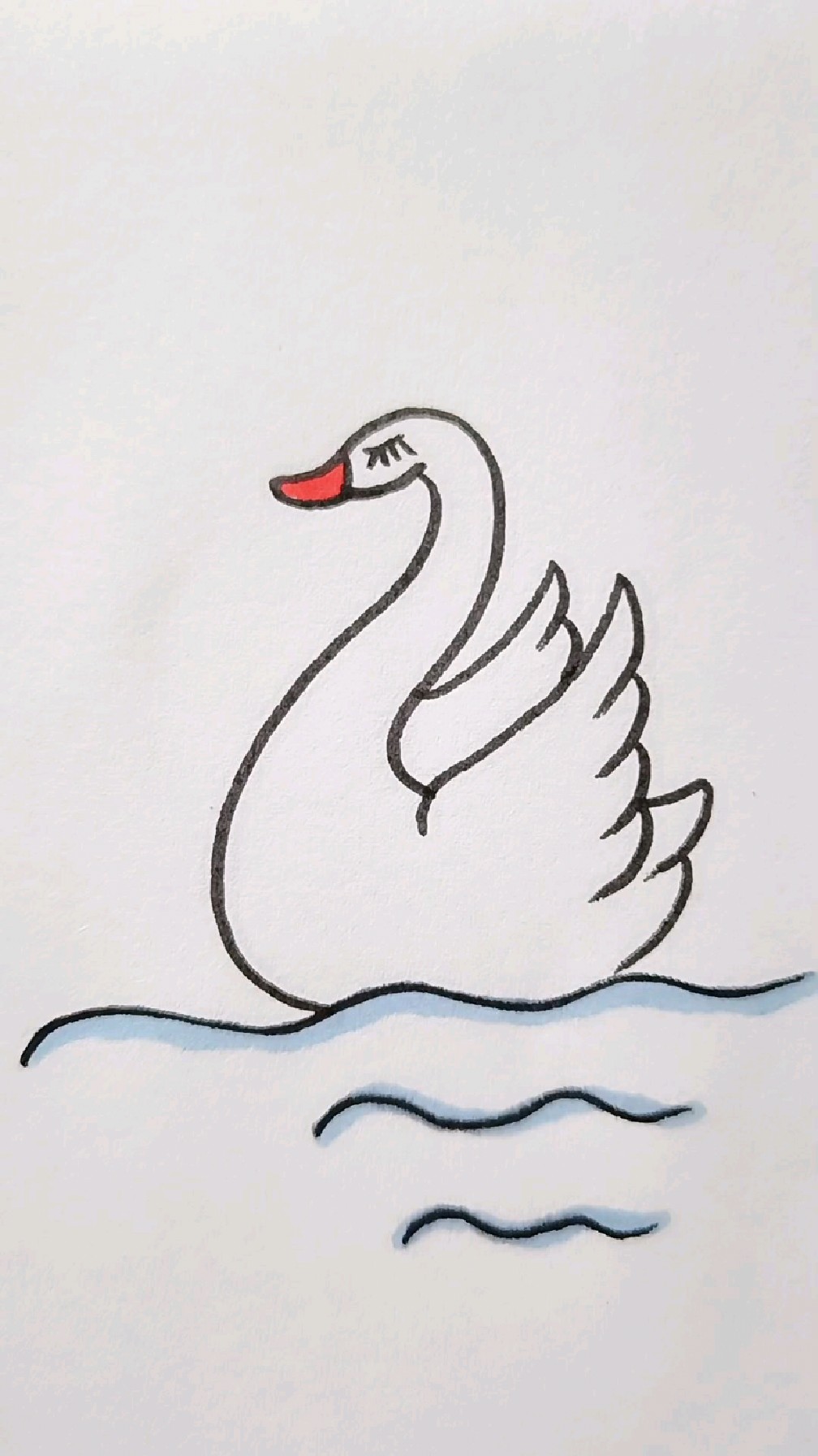 漂亮的白天鹅简笔画