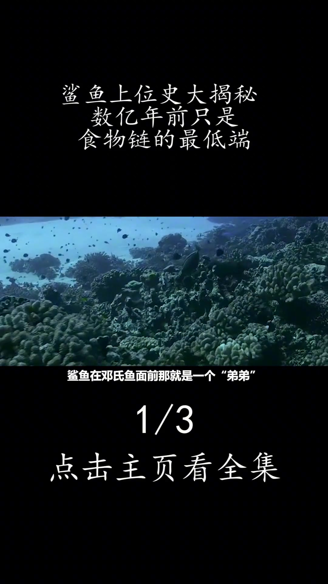 鲨鱼在它面前只是“弟弟”,称霸海洋的邓氏鱼,竟是被自己吃死的?