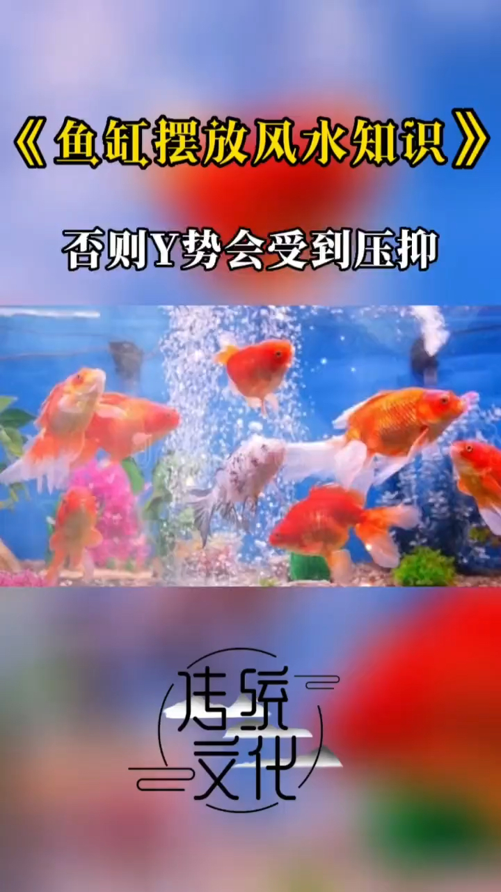《鱼缸摆放风水知识》
