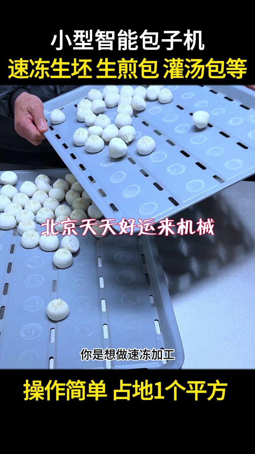 一台可以做速冻包子,生煎包,灌汤包的技术