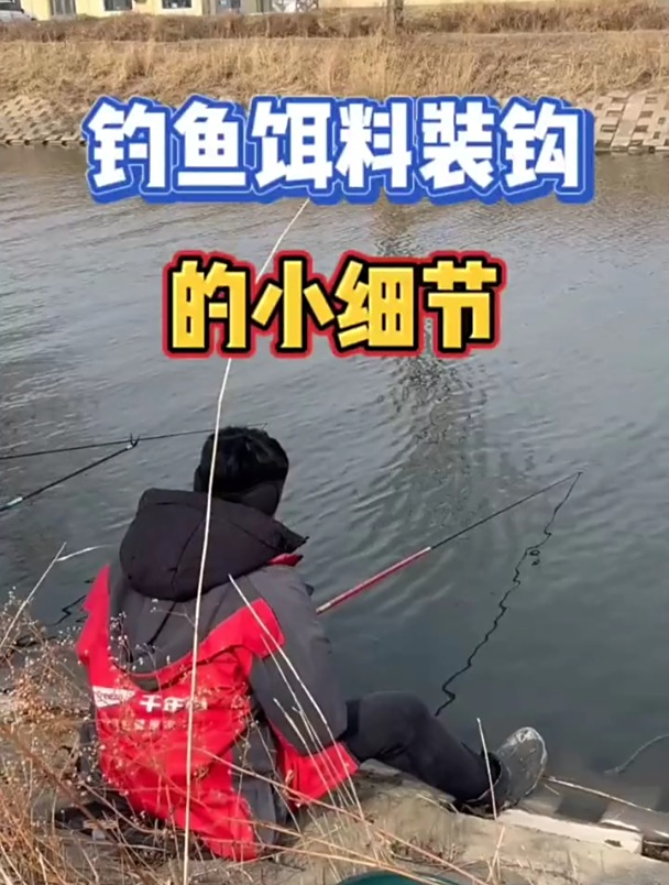 钓鱼饵料如何装钩才能钓更多?老钓友讲解正确方法!