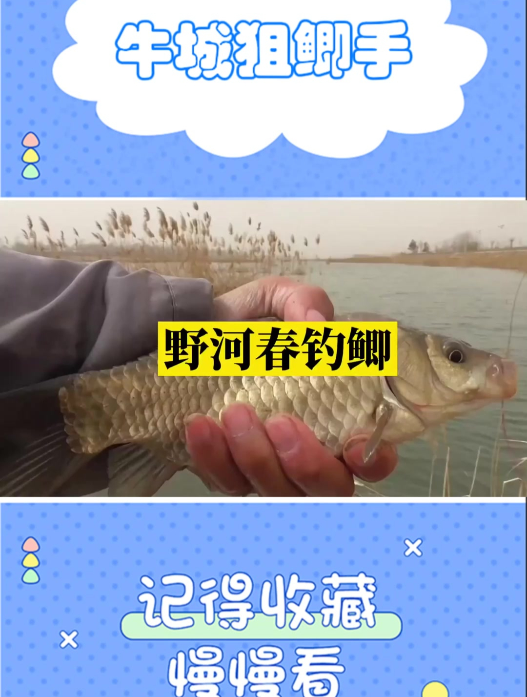 春天是鱼儿产卵的季节,过了手瘾记得放他们回家哦