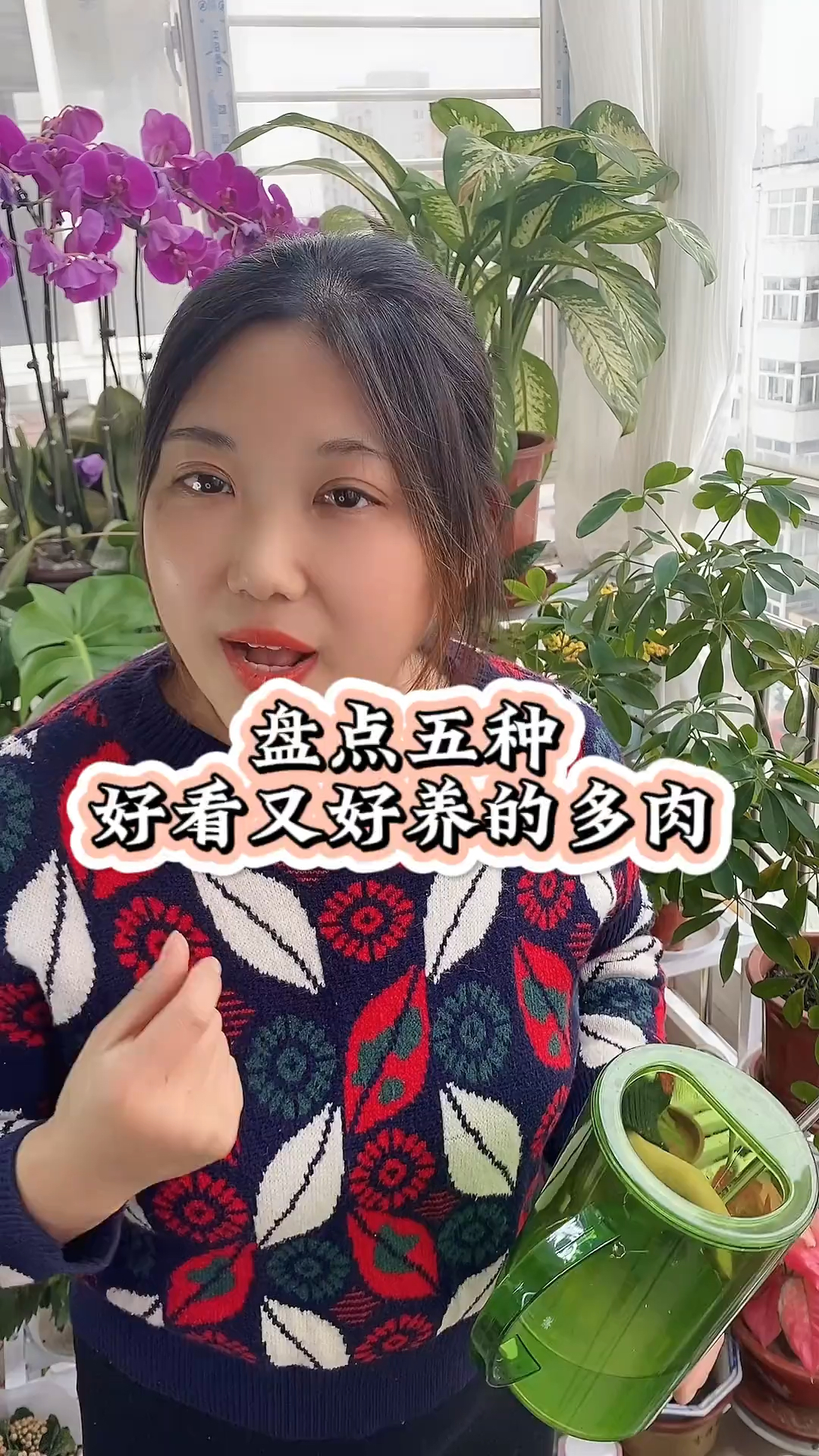 那些好看又好养的多肉