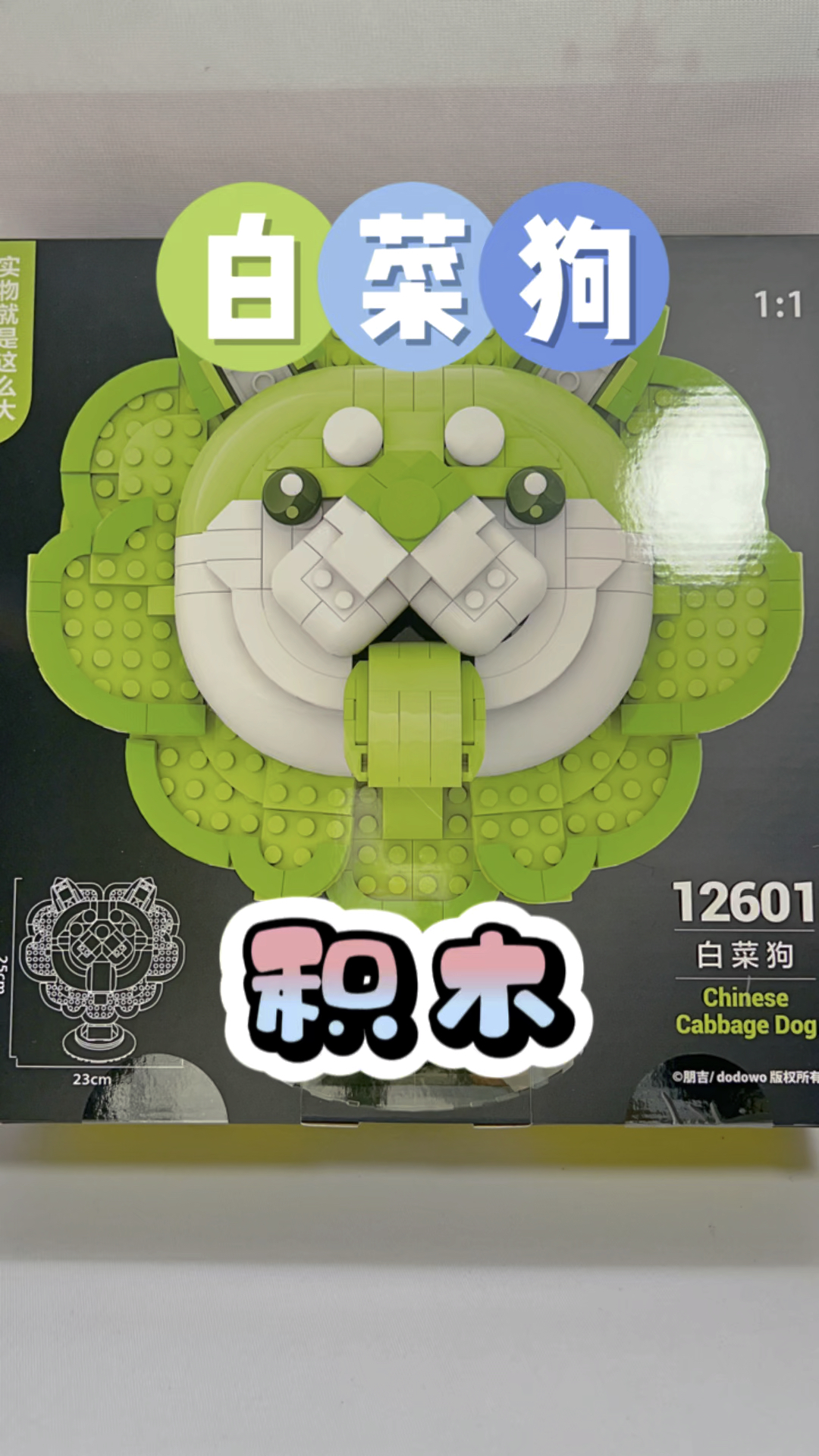 白菜狗积木来啦