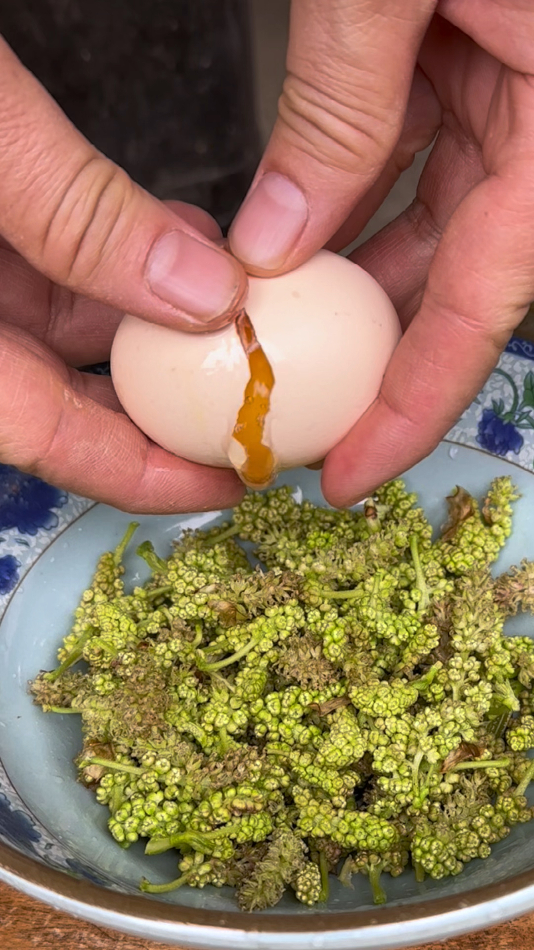 桑葚花也叫桑果花,它是春季的一种野菜