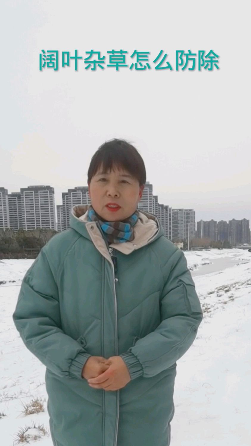 阔叶类杂草怎么防除