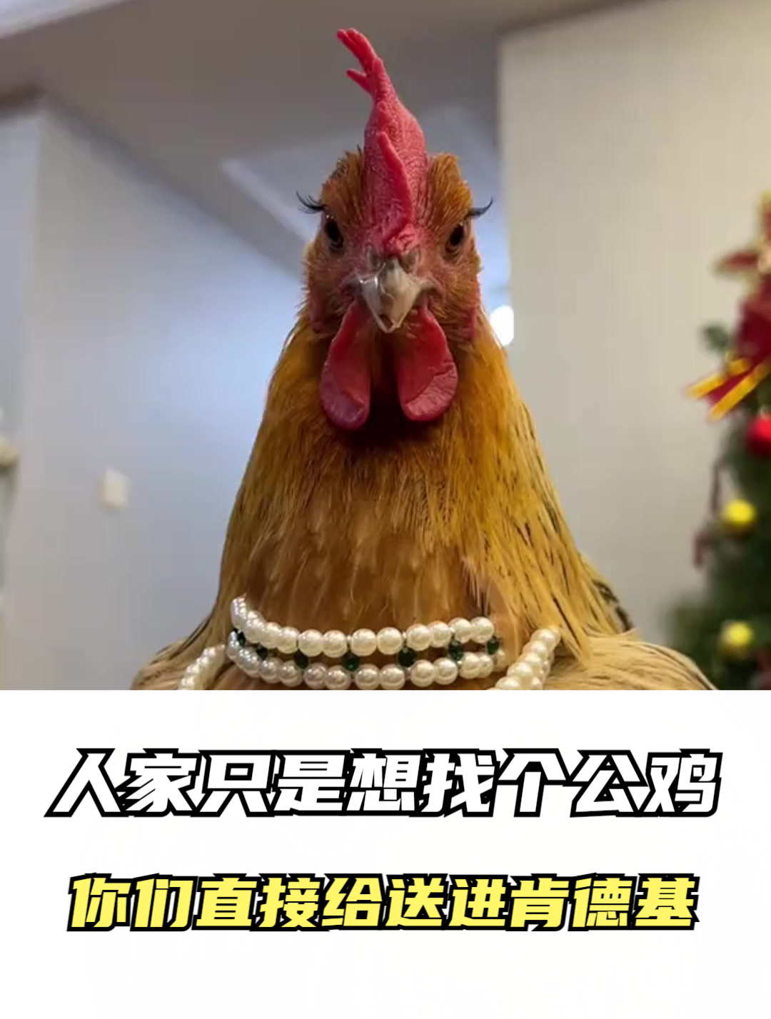 人家只想找个公鸡,你们却想送到肯德基