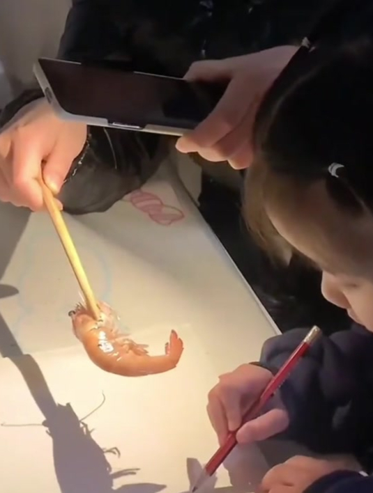 老师让家长画虾,研究了一天没头绪,最后还是得靠我老公!