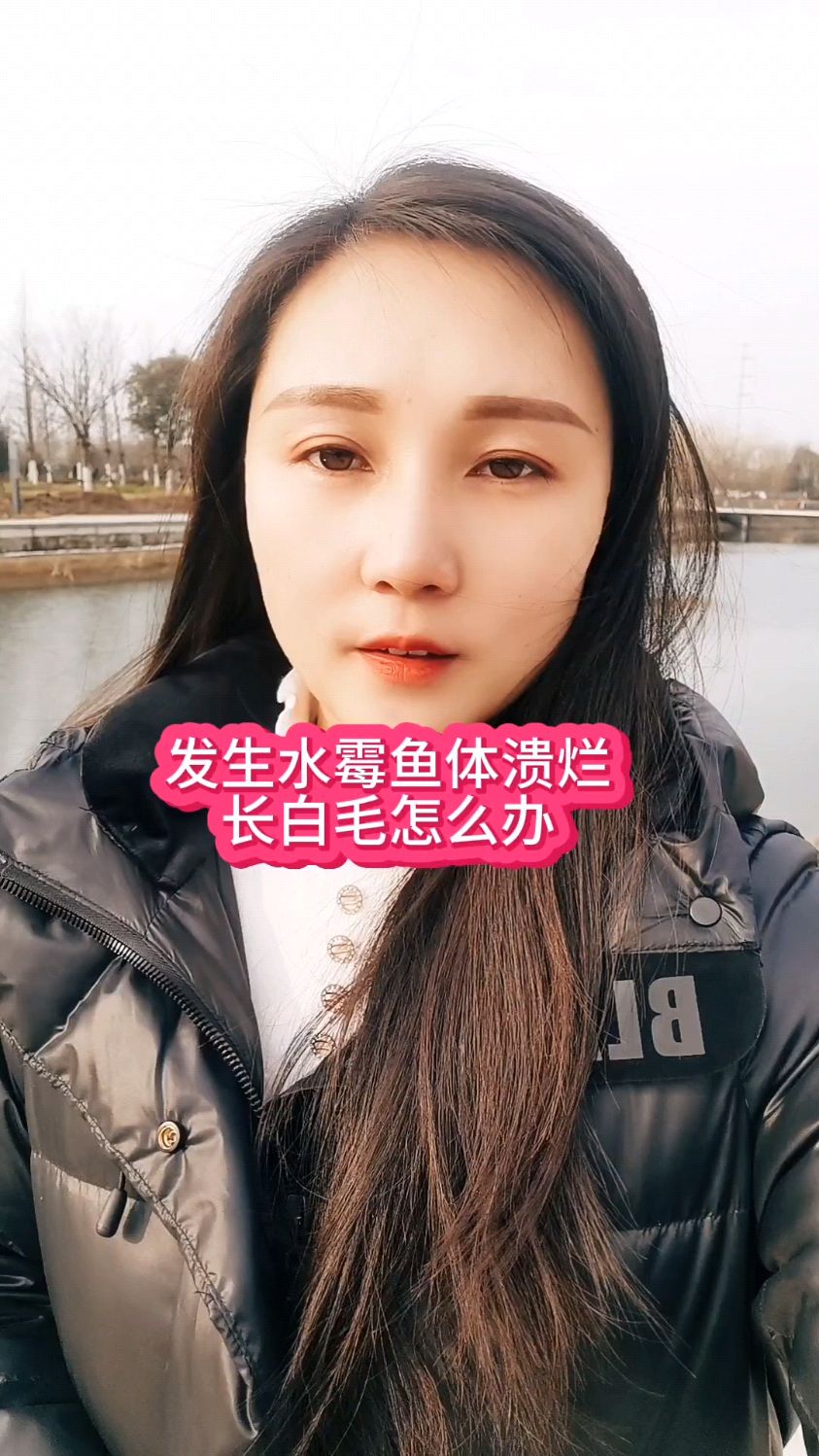 发生水霉鱼体溃烂长白毛怎么办