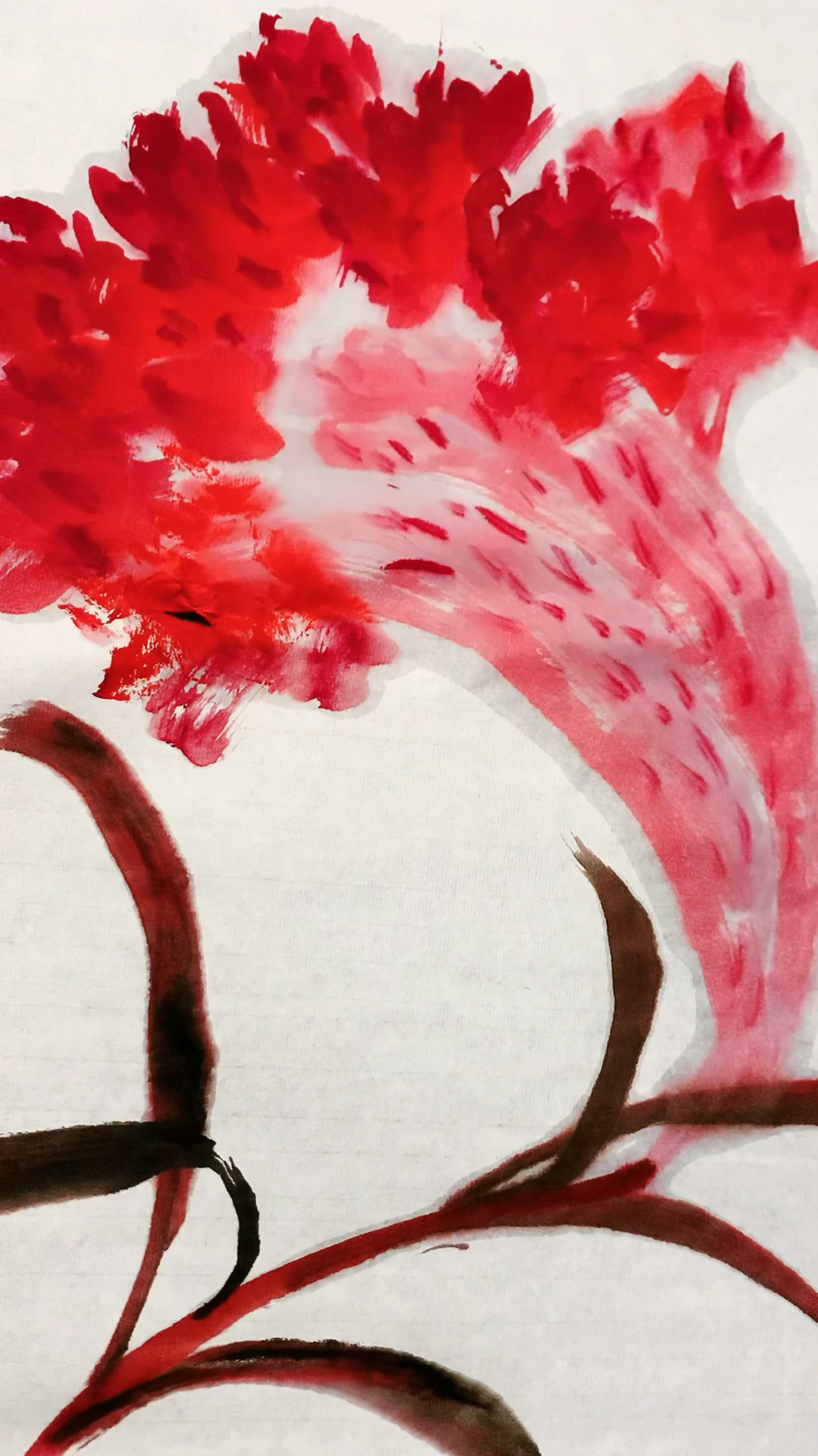 鸡冠花,做不到冠绝天下,便做自己的冠军