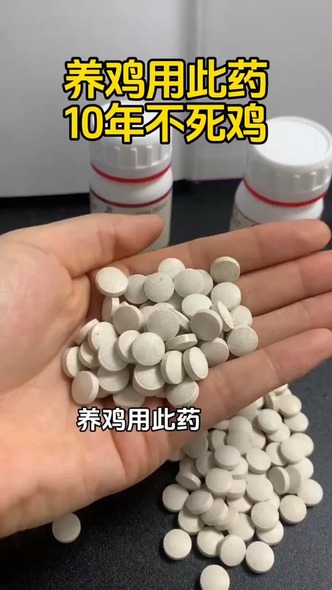养鸡用此药,十年不死鸡