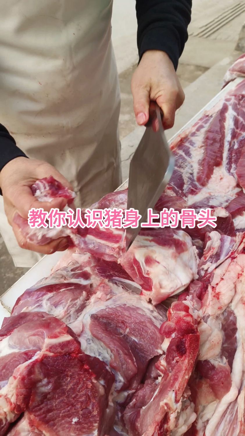 教你认识猪身上的骨头