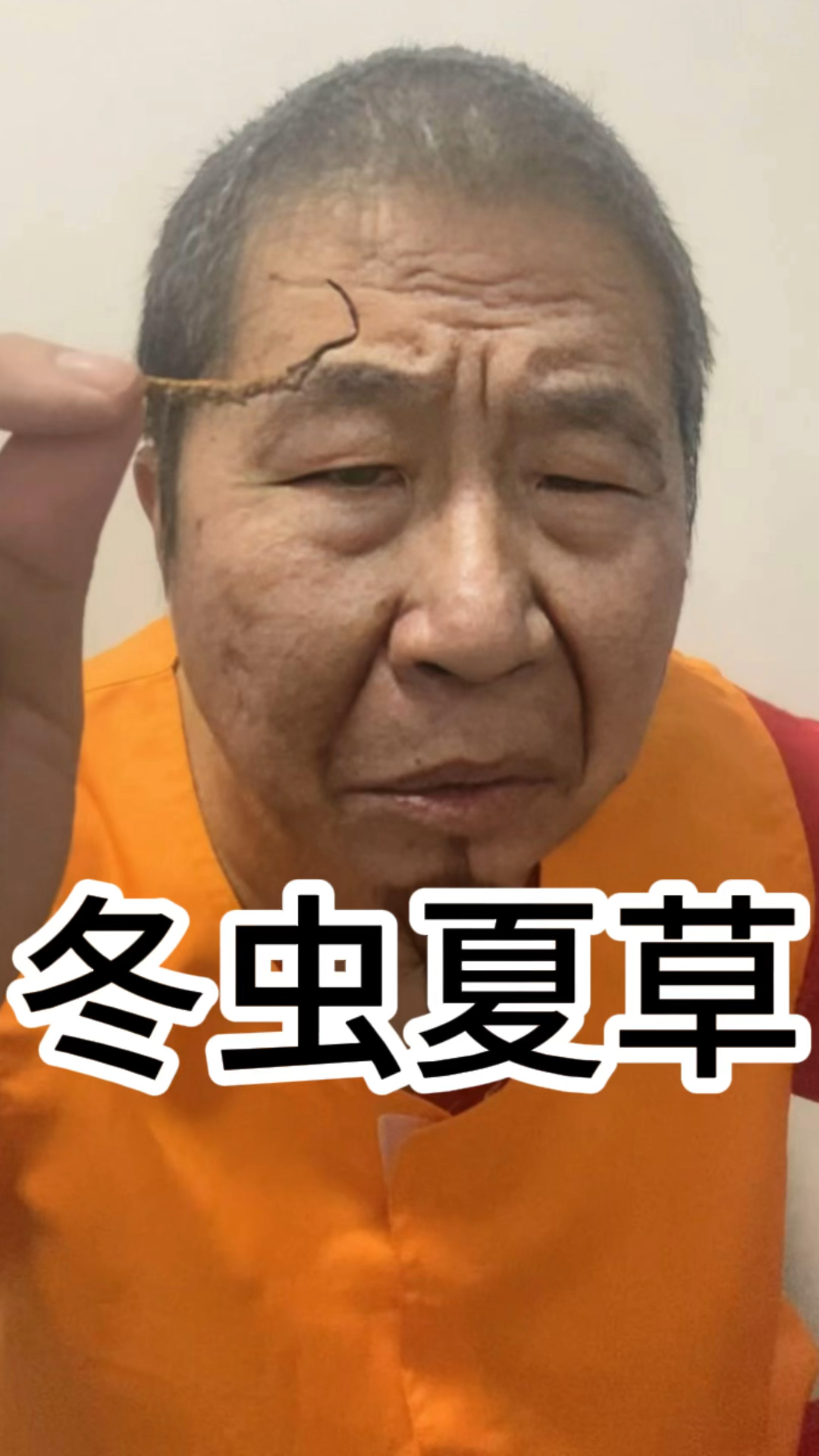 说说冬虫夏草怎么个事儿