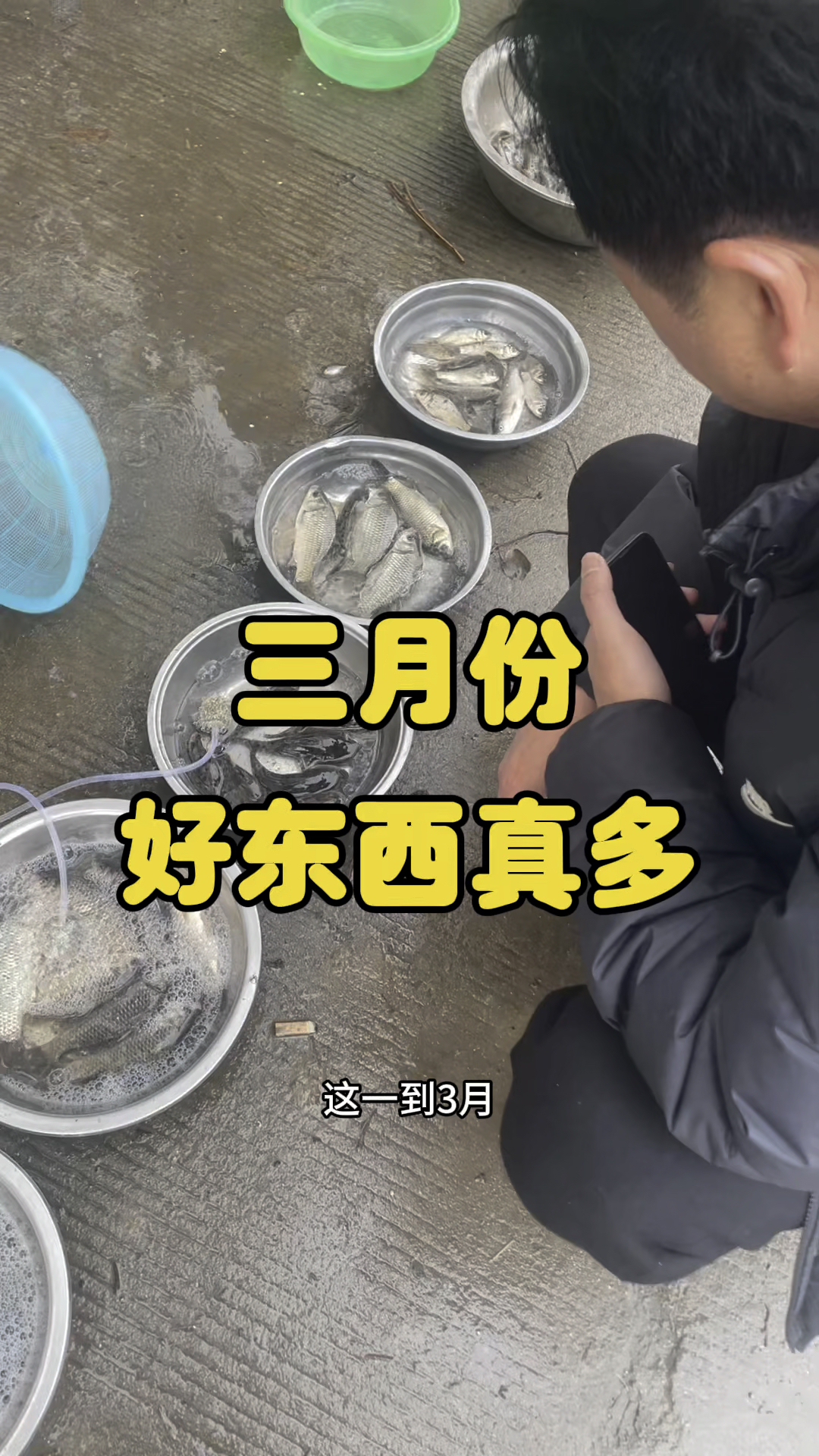 今天是三月的第一天,天气越来越热乎了,好东西也越来越多了,有没有老乡们喜欢的呢?