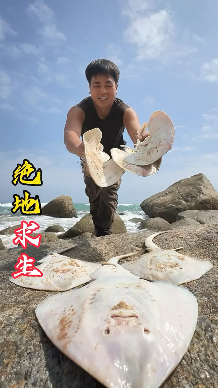 今天在荒岛上发现沙滩上全是魔鬼鱼