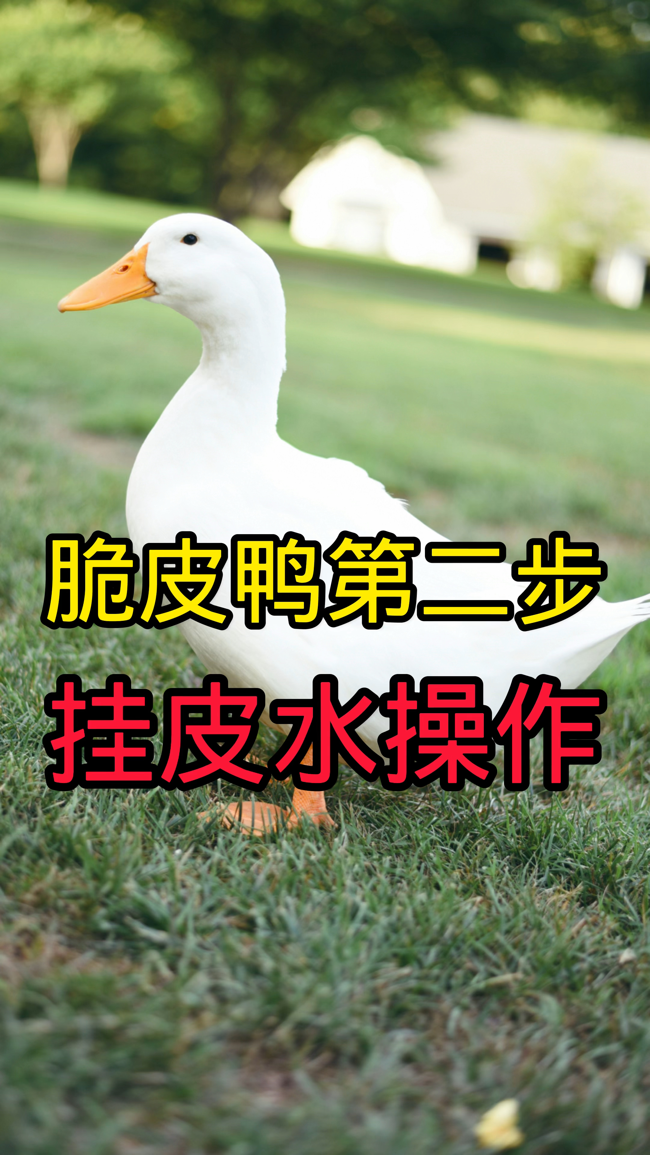 脆皮烤鸭第二步,挂脆皮水,保证鸭子的脆皮和颜色