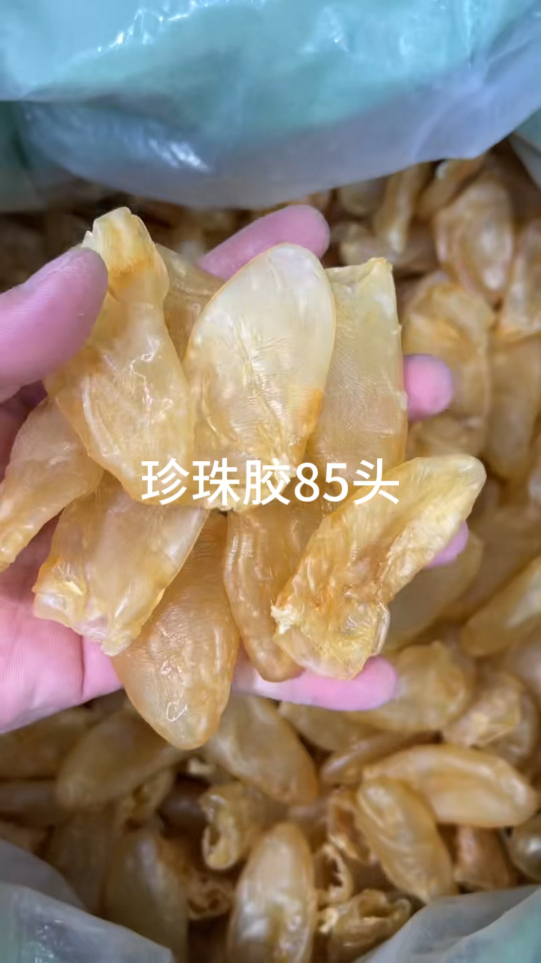 石斑肚,捻鱼胶,顺风赤嘴,双牙筒,阴阳公,金龙筒,珍珠胶,红鱼胶 ,墨西哥筒子