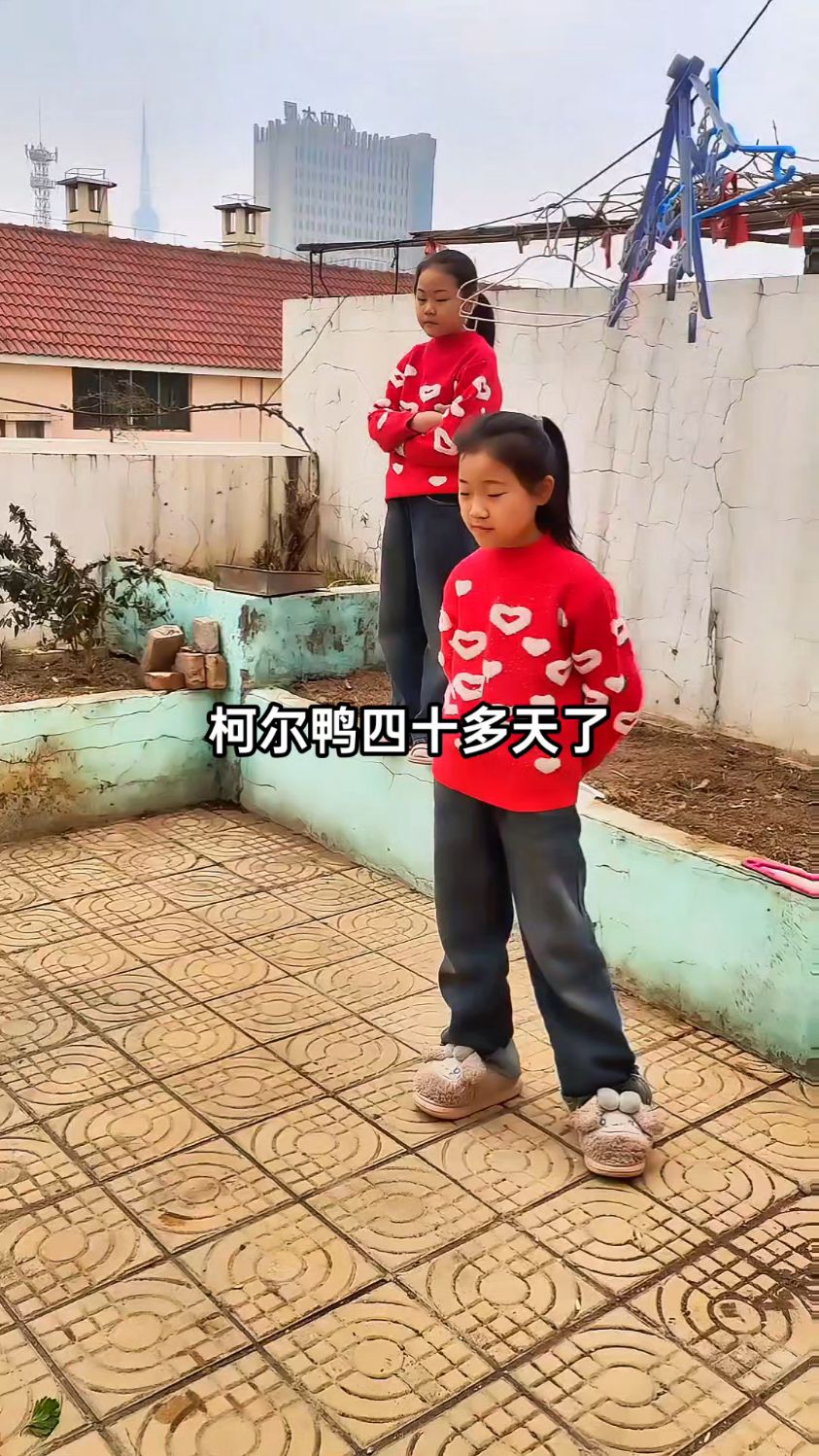柯尔鸭比较喜欢吃青菜的,孩子们的好伙伴!