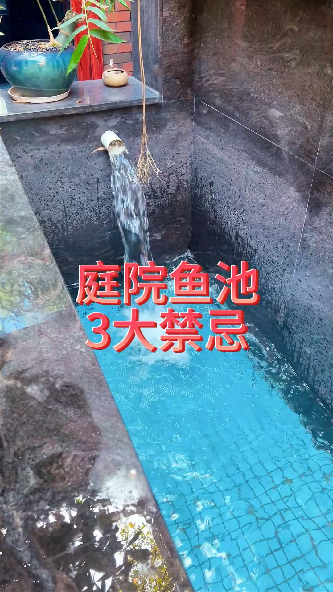 庭院鱼池三大禁忌#锦鲤鱼池 #庭院鱼池 #别墅鱼池 #鱼池过滤 #养鱼注意事项