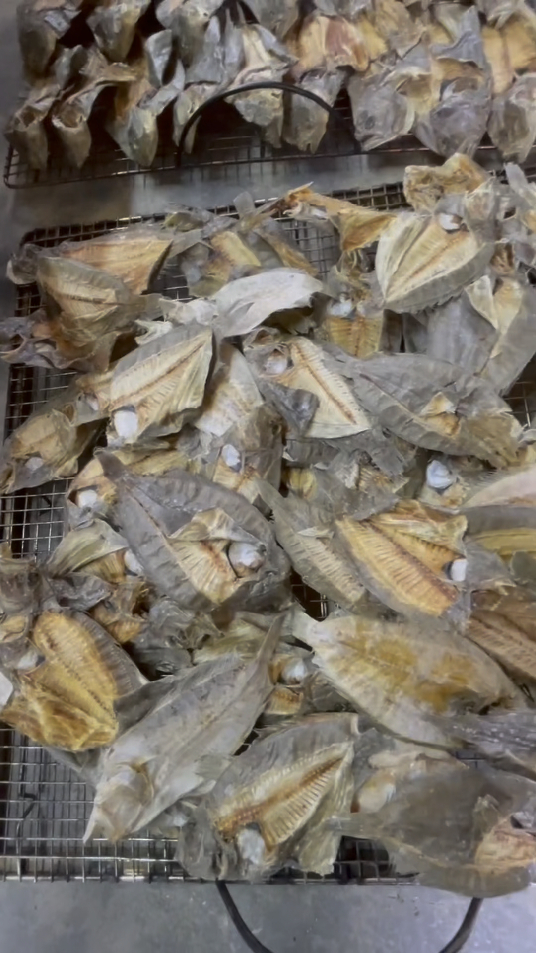 新鲜现磨#大地鱼粉 人称大海的味精