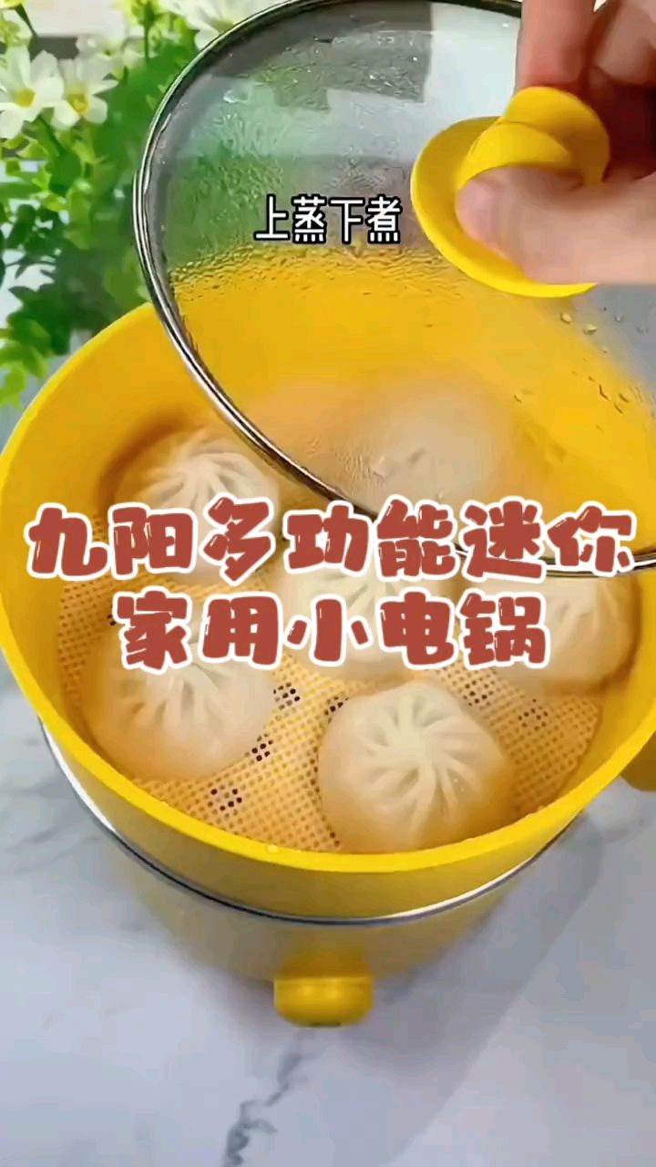 九阳多功能迷你家用小电锅