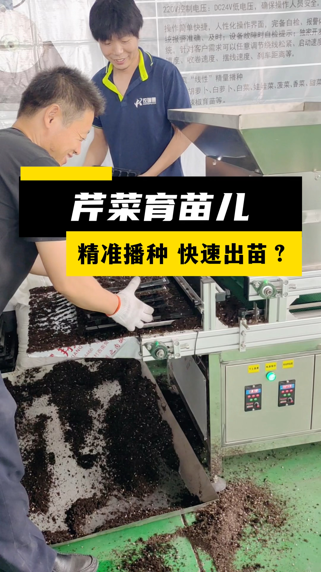 芹菜育苗儿,全自动穴盘播种机精准播种,快速出苗儿!