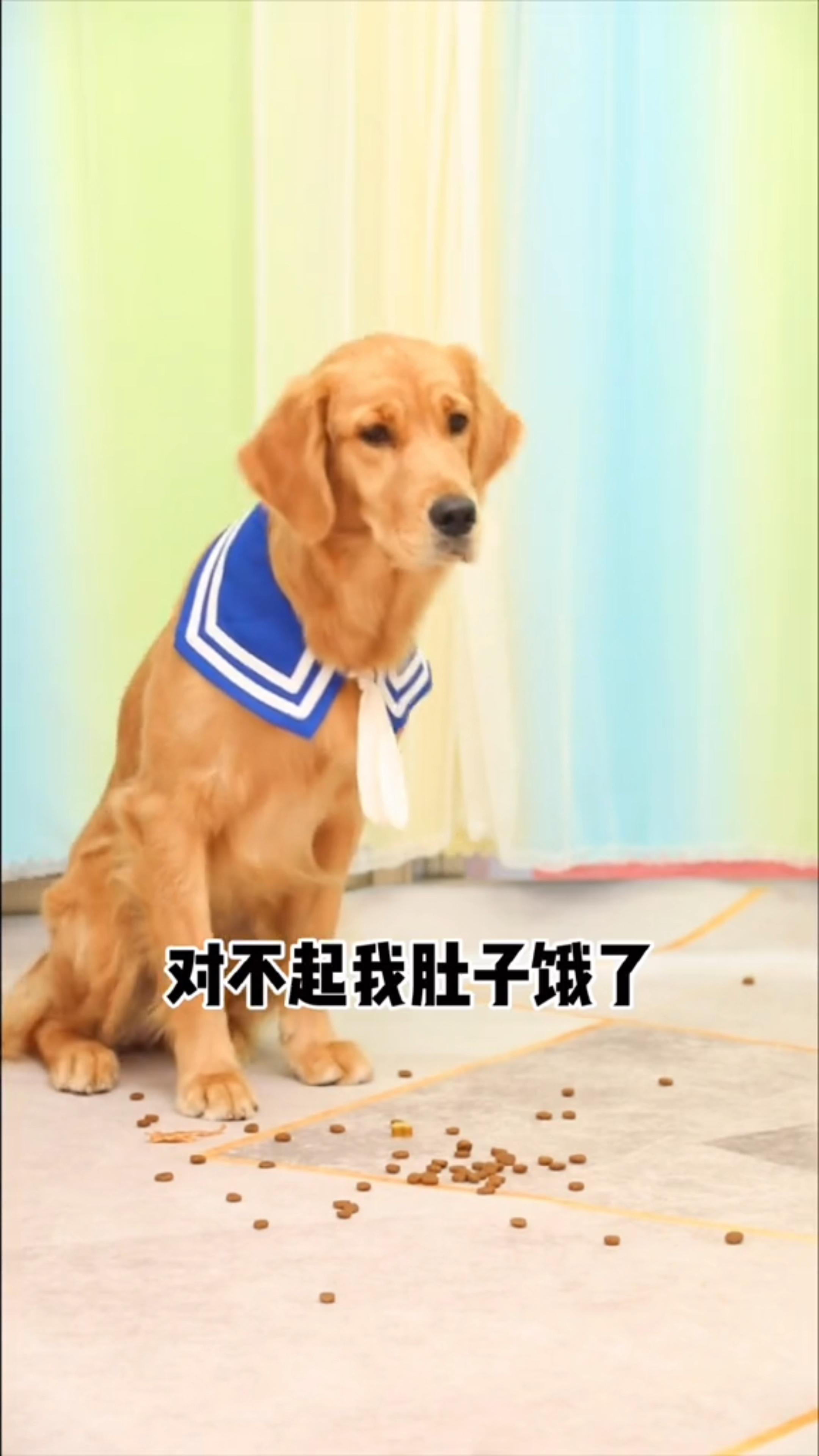 coco奶茶终于和好啦