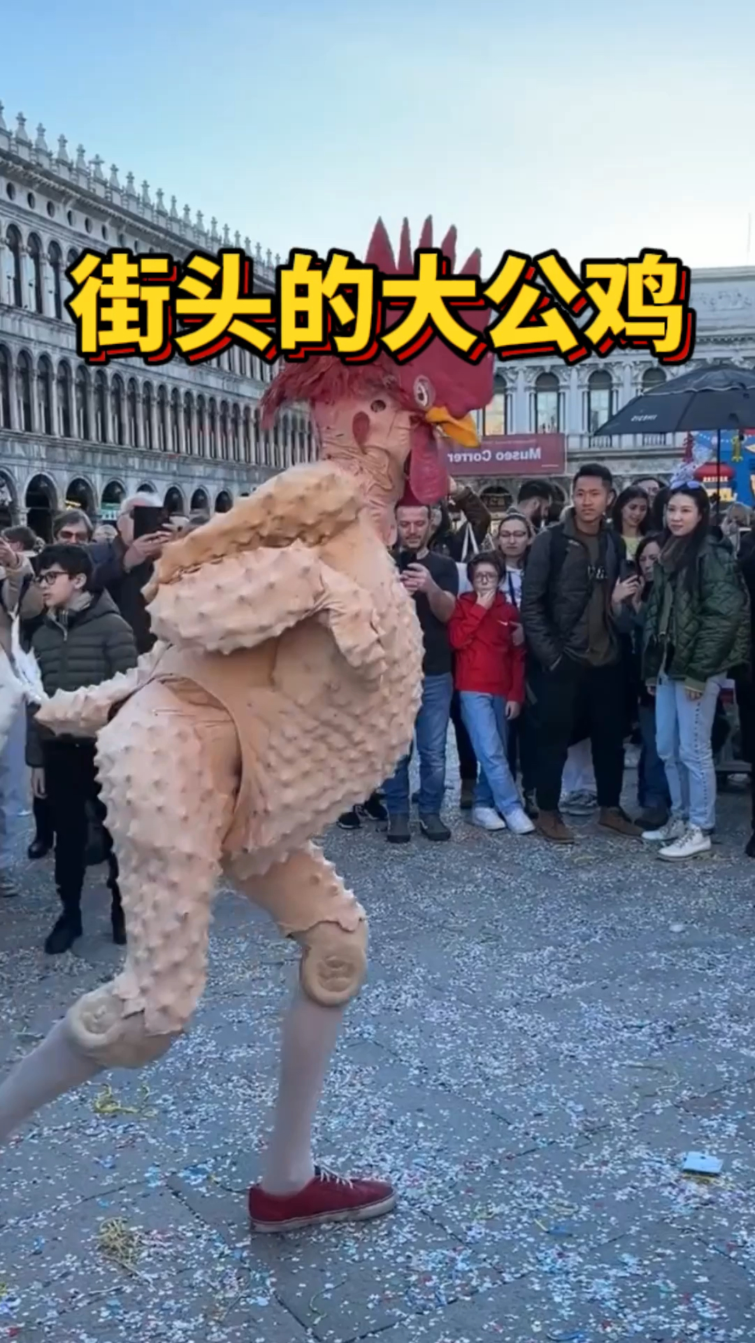 街头的大公鸡,引起众人围观