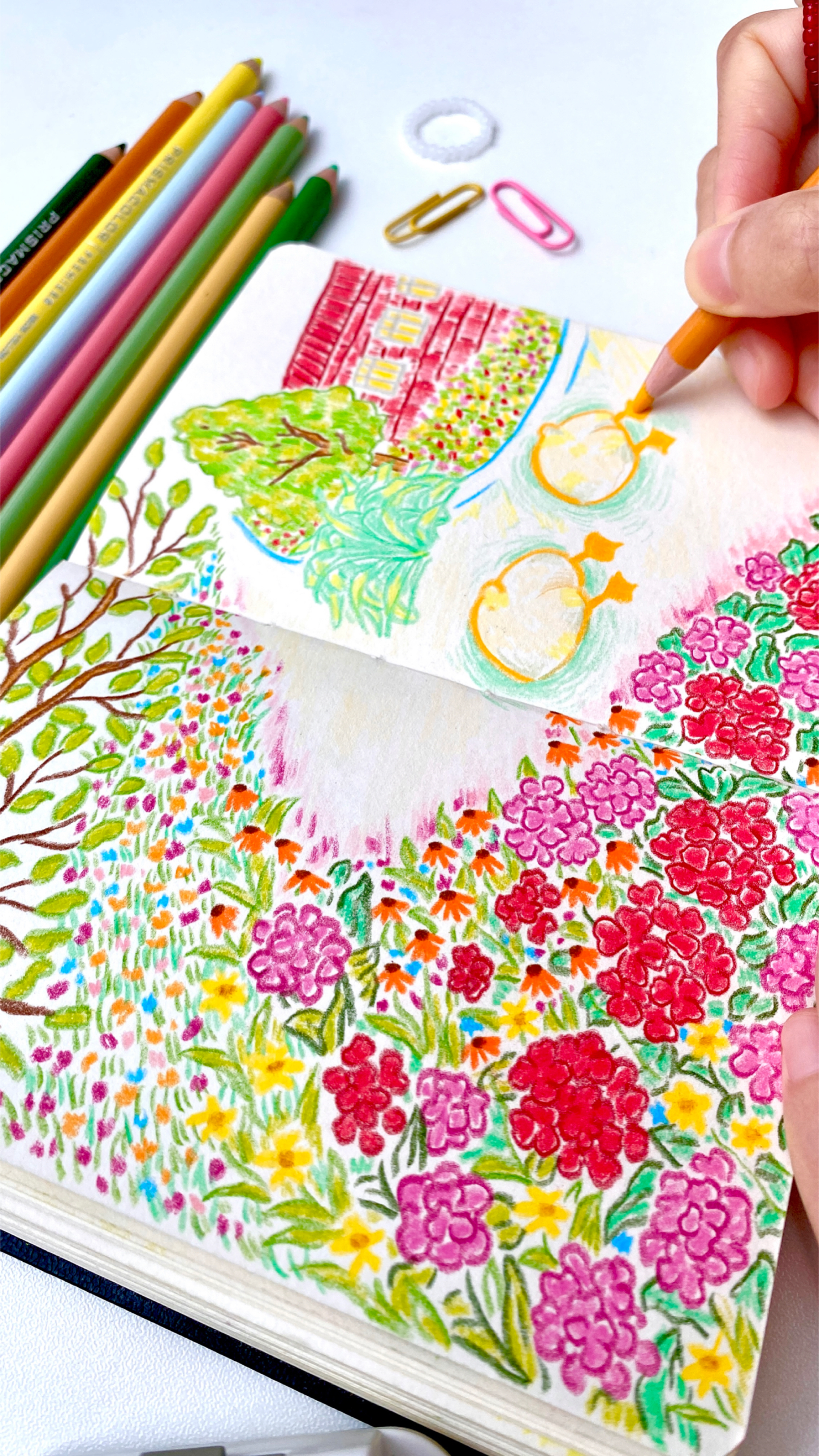 春江水暖鸭先知彩铅手绘原创插画