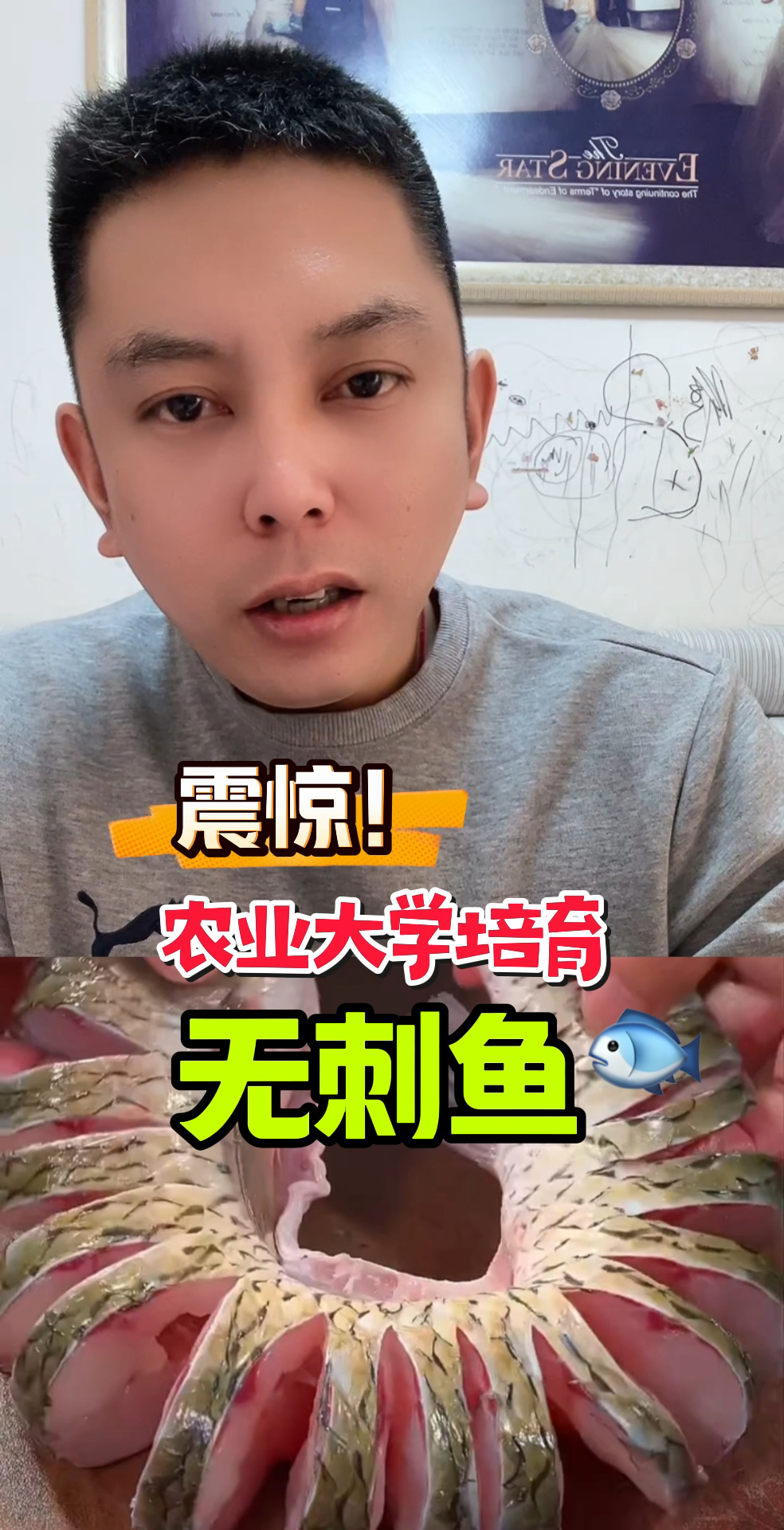无刺鱼,只要健康,就是福音 #转基因 #测评 #无刺鱼