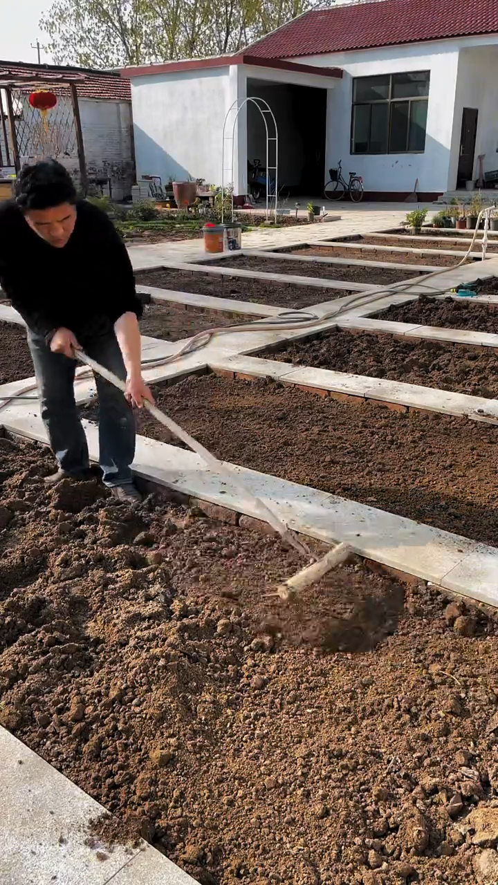 农村有院子,养花种菜多幸福
