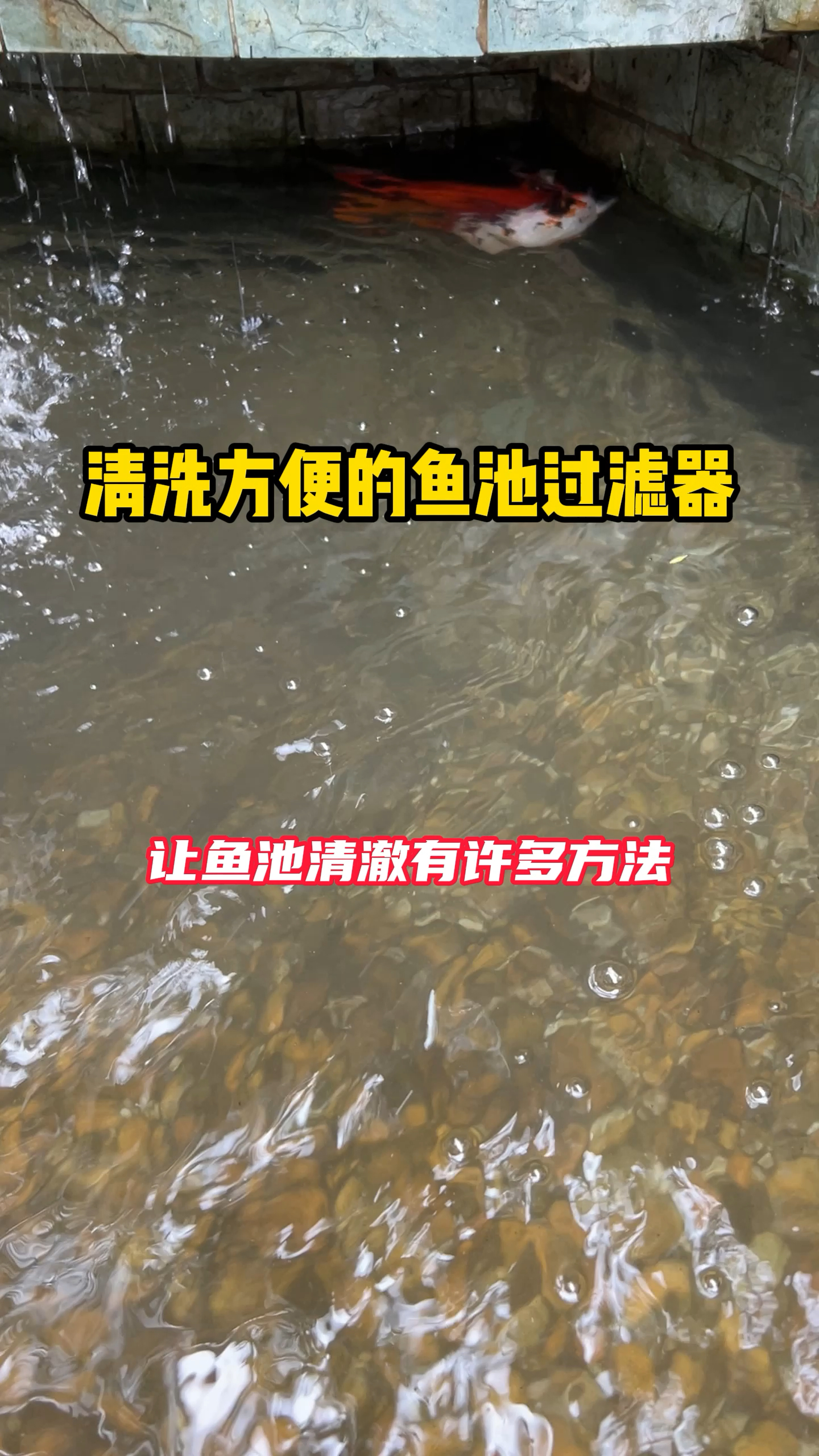 省时省力的鱼池过滤器