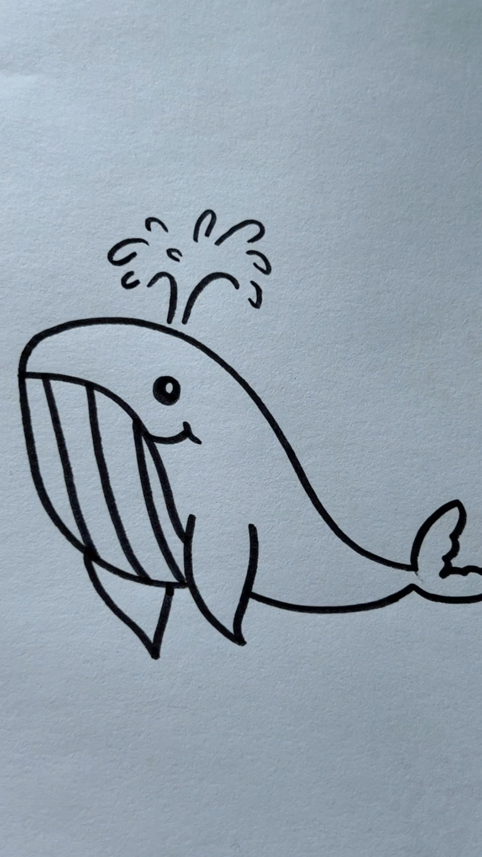 简笔画鲸鱼!