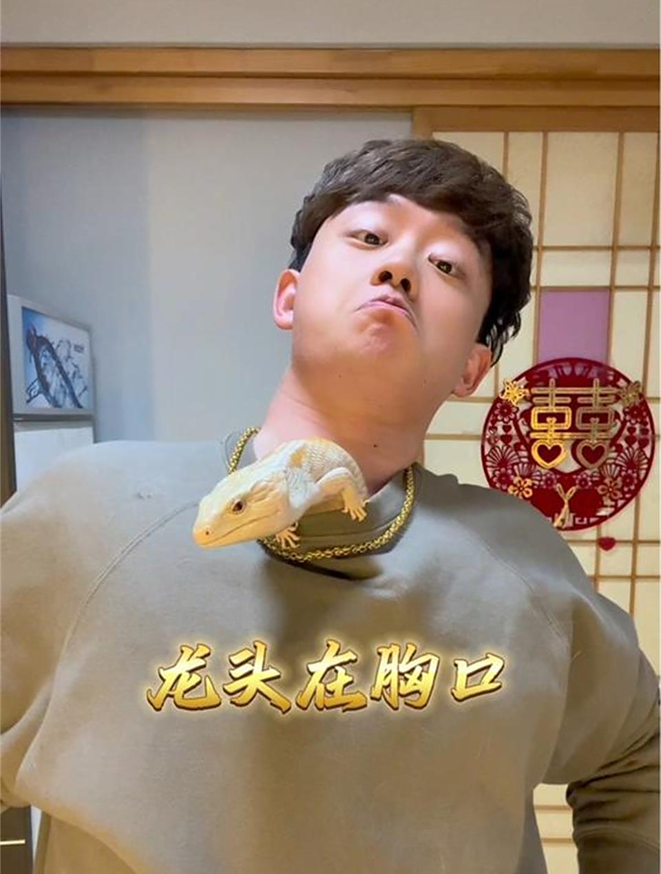 开个4800的海鱼盲盒!