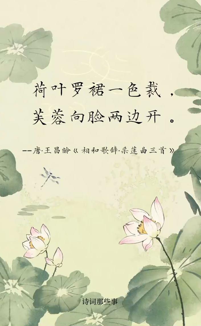 八首关于“荷花”的诗词,你最喜欢哪首?