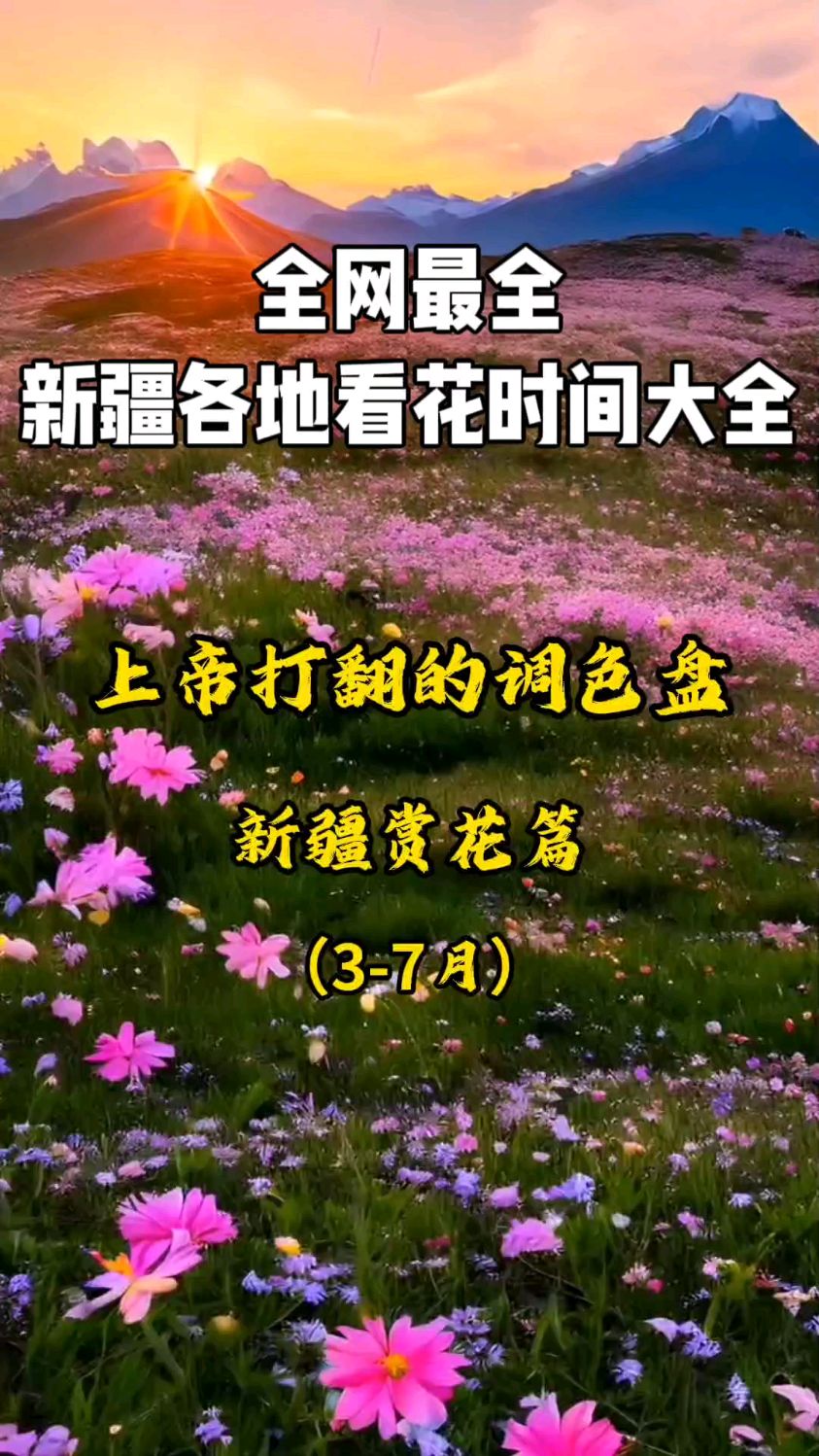 最全看花时间大全