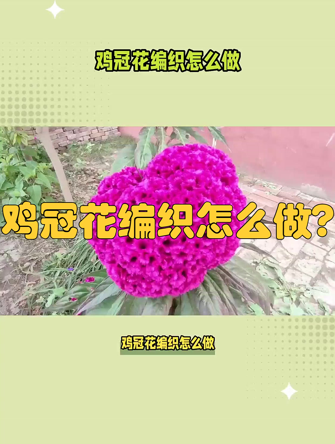鸡冠花编织怎么做?