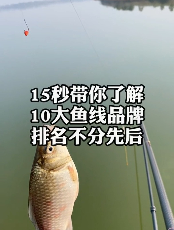 10大鱼线品牌,排名不分先后,钓友们用过哪款鱼线?