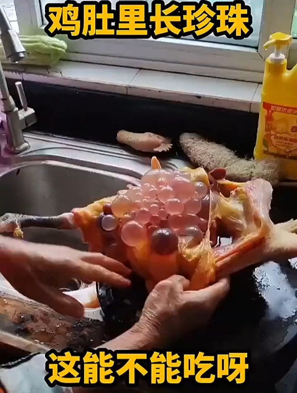鸡肚子里面长珍珠一样的东西,到底能不能吃呀