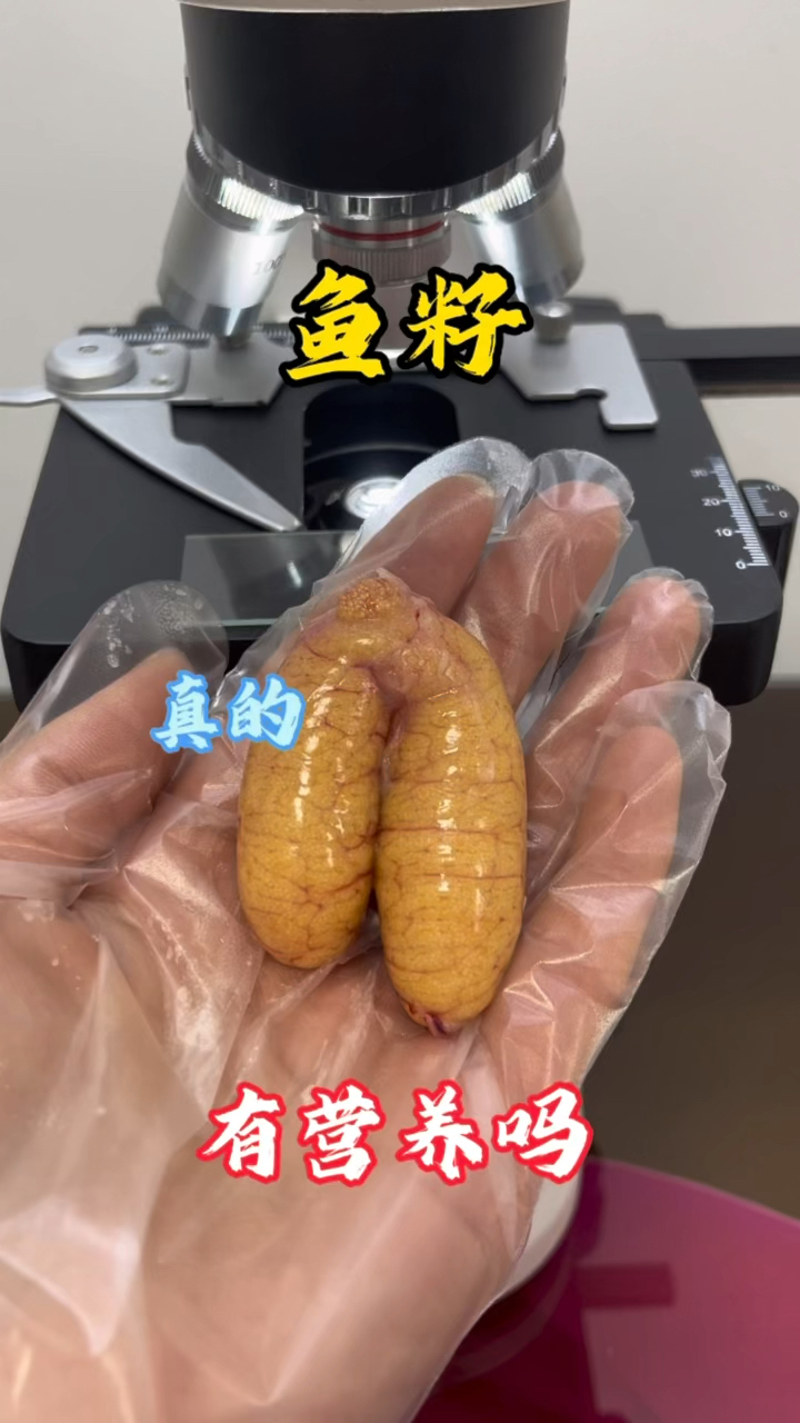 老铁们,你们爱吃鱼籽吗,鱼籽真的有营养嘛?