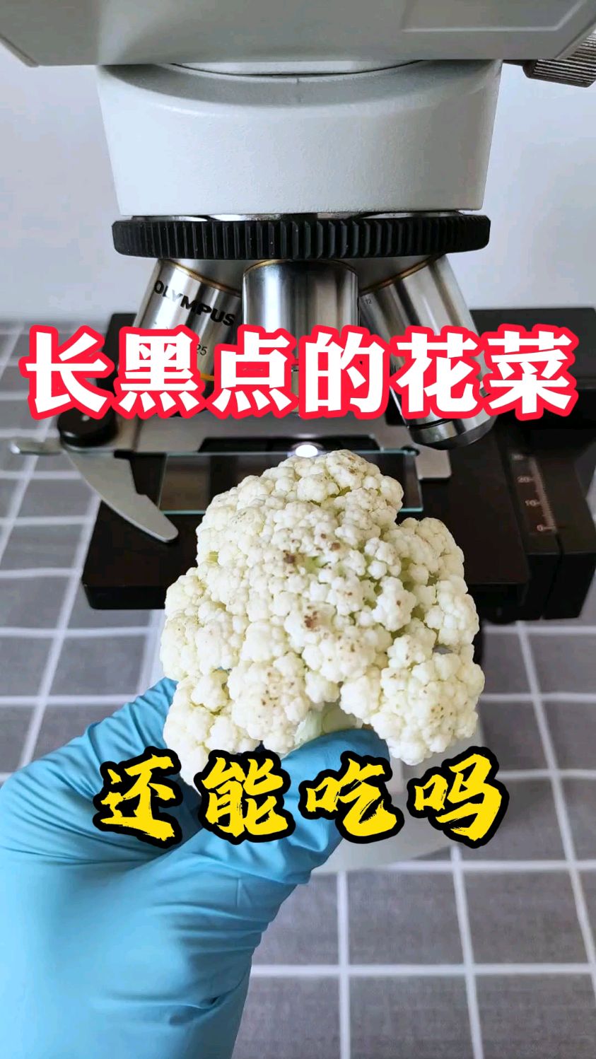 花菜长黑点后还能吃吗?显微镜下放大500倍一探究竟!