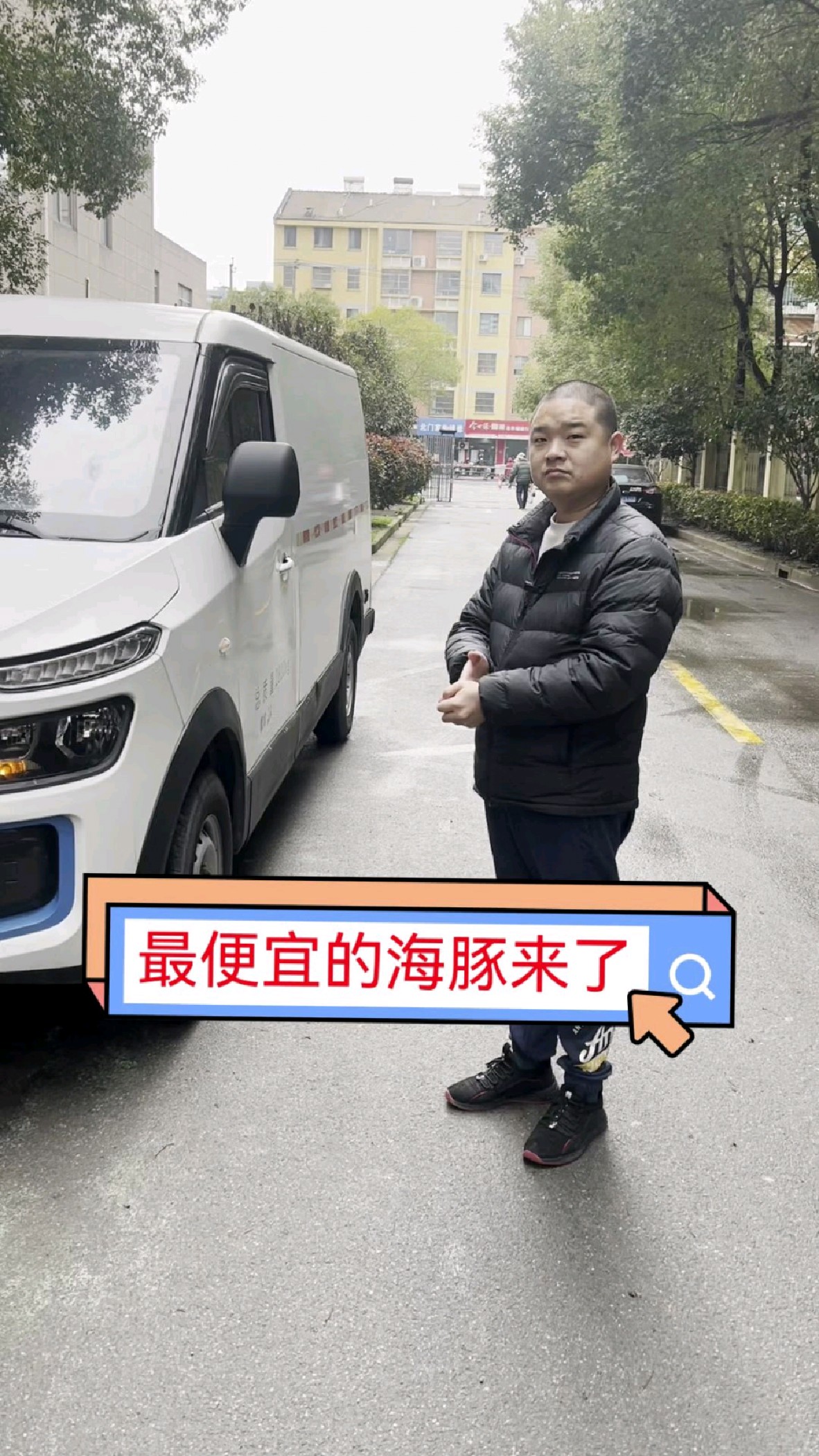 21年最便宜的海豚来了