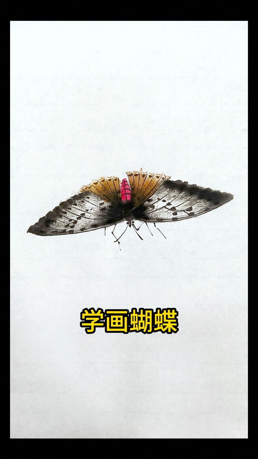画一只齐白石风格的蝴蝶,喜欢这样的风格可以在评论区晒出来哦
