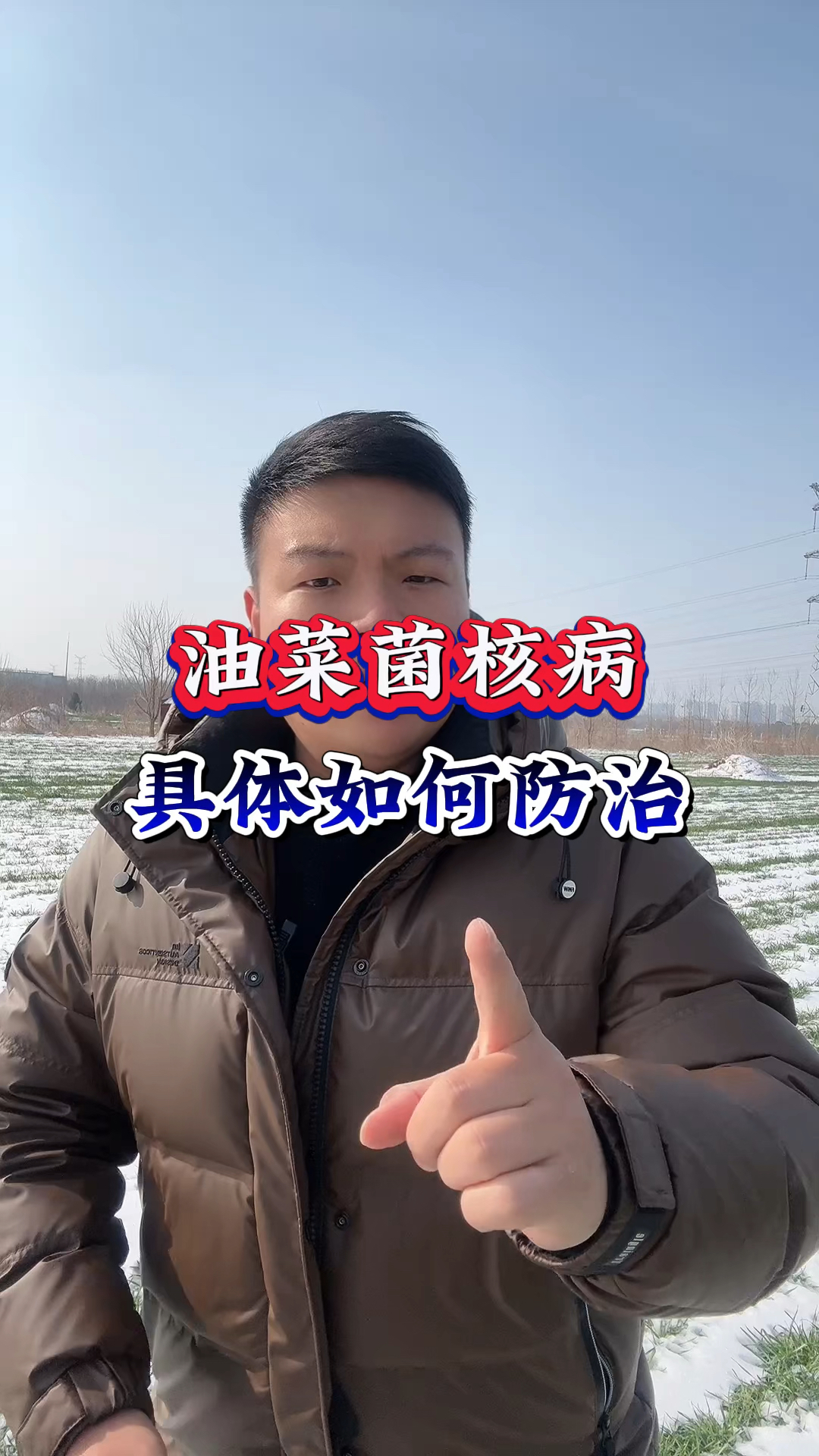 油菜关键的菌核病!具体如何防治?