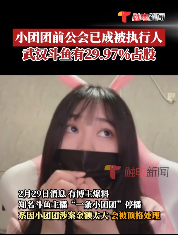知名斗鱼主播小团团前公会已成被执行人,武汉斗鱼有29.97%占股