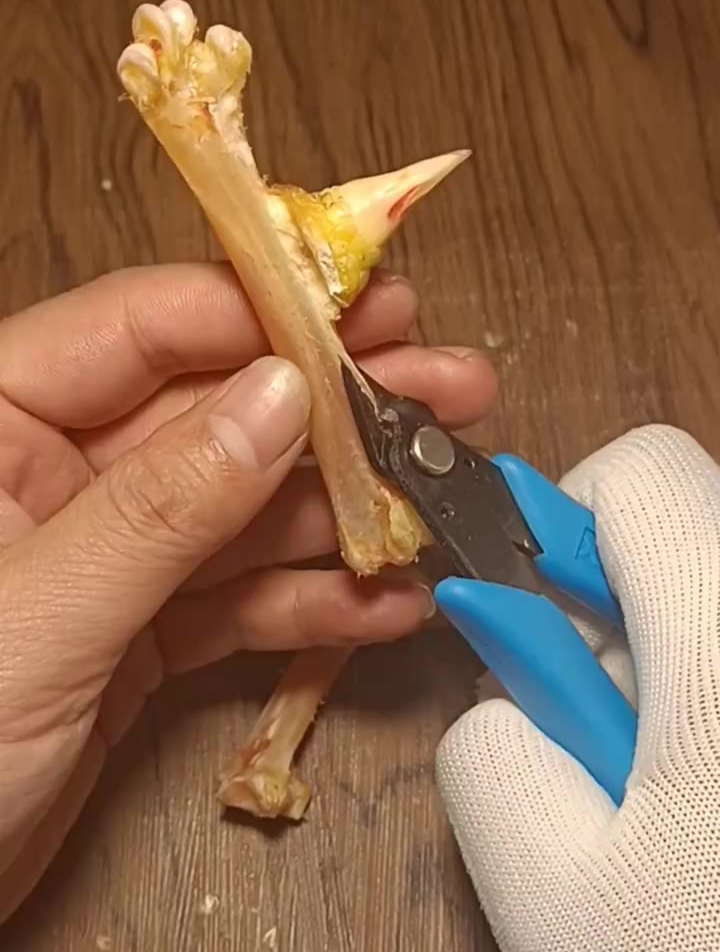 古玩鸡爪骨怎么处理?